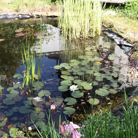 Gemuetliche Gaestezimmer In Einem Neu Sanierten Fachwerkhaus Заксенхайм Экстерьер фото