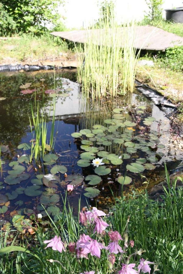 Gemuetliche Gaestezimmer In Einem Neu Sanierten Fachwerkhaus * Sachsenheim